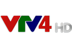 VTV 4 DEMO