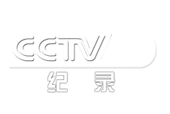 CCTV9