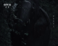 cctv-9 纪录