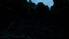 ช่อง bbc earth