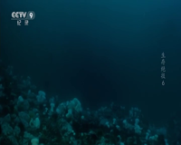 cctv-9 纪录