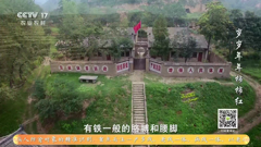 cctv-17农业农村