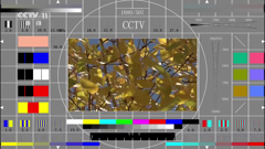 cctv-11hd