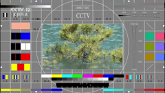 cctv-12hd