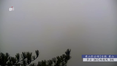 直播中国精编直播