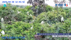 四川四姑娘山隆珠措