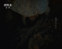 cctv-9 纪录