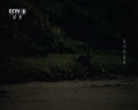 cctv-9 纪录