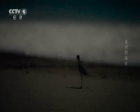 cctv-9 纪录