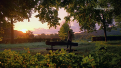 stingray holidayscapes