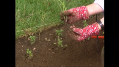 the martha stewart channel