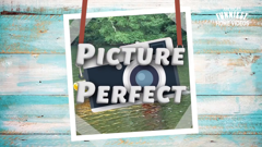 america's funniest home videos