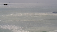 são pedro do estoril