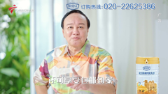 大湾区卫视高清