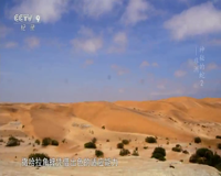 cctv-9 纪录