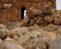 cctv-9 纪录