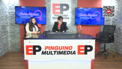 el pingüino tv