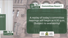 legislative assembly of ontario committees
