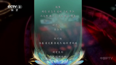 cctv-3综艺