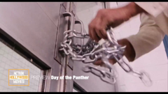 action hollywood movies