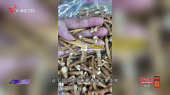 大湾区卫视高清