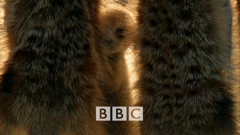 bbc earth