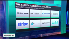 bloomberg tv australia (270p)