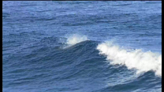 ช่อง bbc earth