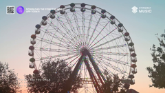 stingray greatest hits