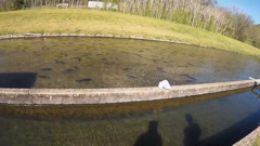 world fishing network