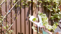 загородный international