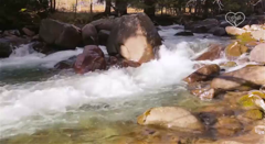 живая природа