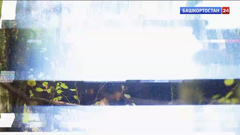 башкортостан 24