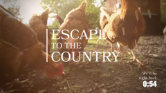 escape to the country