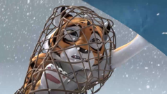 熊出没之探险日记s1-国漫