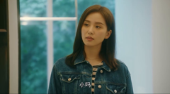 电视剧-流金岁月