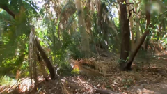 单挑荒野第一季