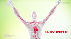 cctv5 plus体育赛事