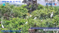 四川四姑娘山隆珠措