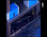 кто есть кто