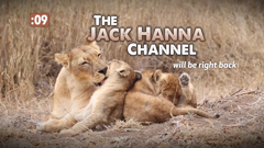 the jack hanna channel