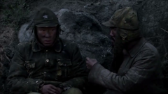 大家都在看的电视剧