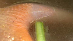 舌尖上的中国第一季