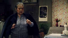 郝蕾演绎-情满四合院