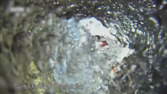 舌尖上的中国第2季