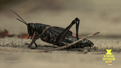 xtreme outdoor presented by history