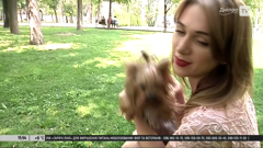 дніпро tv