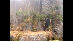 你最爱的小龙女-神雕侠侣