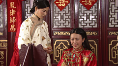 施公奇案2-欧阳震华