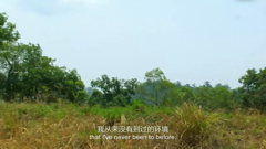 单挑荒野第一季